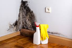 Best Air Quality Testing for Mold Spores  in Billings, MT